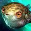 gw2 taro everclaw|gw2 spotted pufferfish.